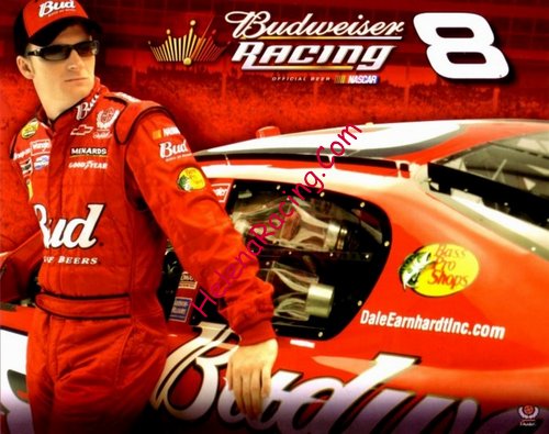Card 2006 Nextel Cup-Budweiser (NS).jpg