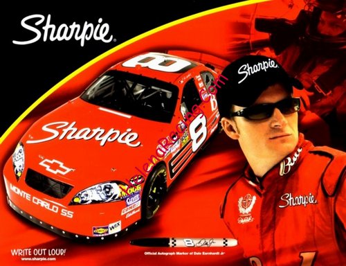 Card 2007 Busch Series (NS).jpg