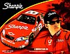 Card 2007 Busch Series (NS).jpg