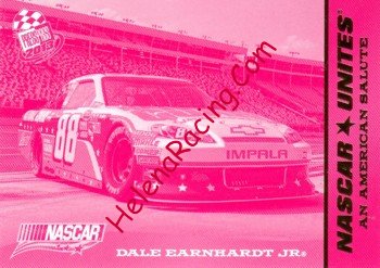 2013 Pass-Units-Pink.jpg