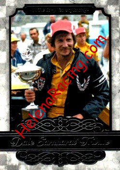 2015 Tribute-DE2.jpg
