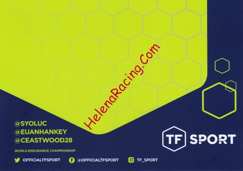 Card 2018 WEC-GTE Verso (NS).jpg