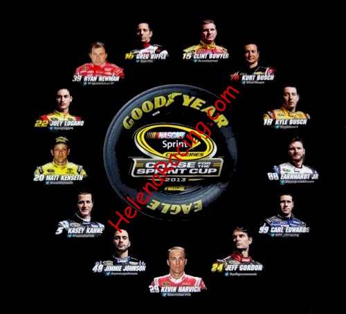Card 2013 Sprint Cup-Chase Verso (NS).jpg