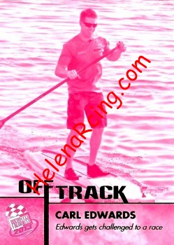2013 Pass-Off Track-Pink.JPG
