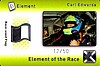 2009 Element-Flag.JPG