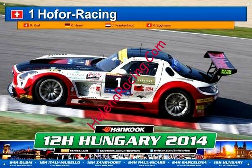 Card 2014-5 Hungary 12 h (NS).jpg