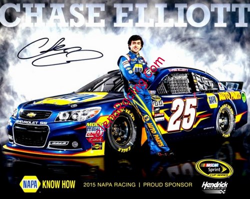 Card 2015 Sprint Cup (S).jpg