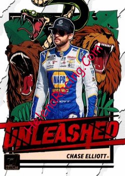 2023 Unleashed.jpg