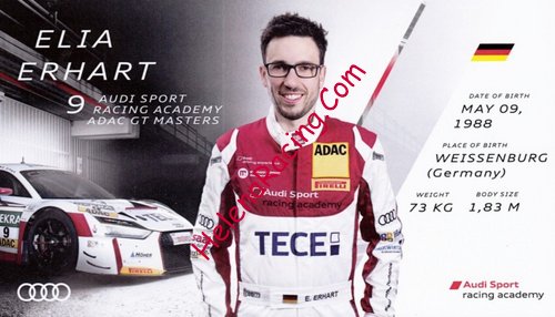 Card 2017 ADAC-GT Recto (NS).jpg
