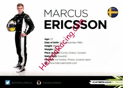 Card 2014 Formula 1 Verso (NS).jpg