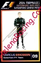 2014 F1-GP Singapore.jpg