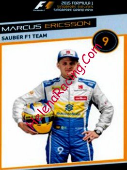 2015 F1-GP Singapore.jpg