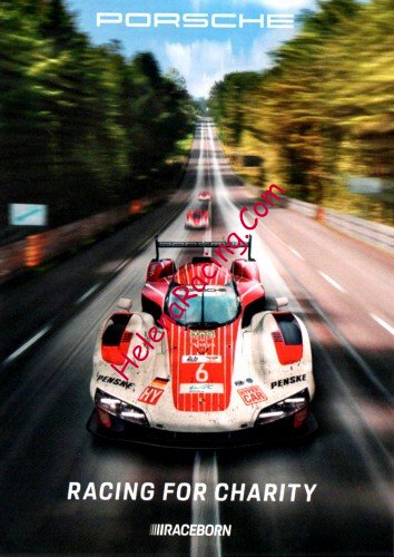 Card 2025 Le Mans 24 h-4 (NS).jpg
