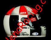 Helmet 2009.jpg
