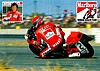 Card 1991 Superbike (NS).jpg
