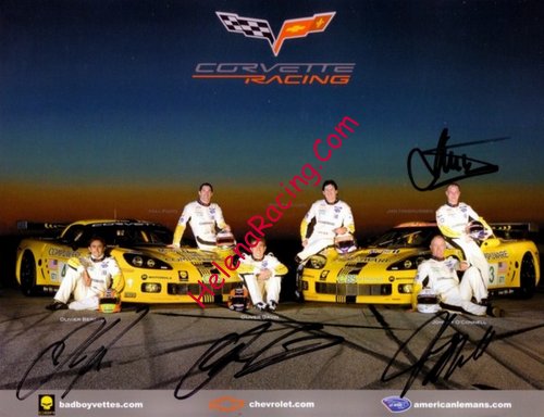 Card 2008 ALMS-GT1 (S).jpg