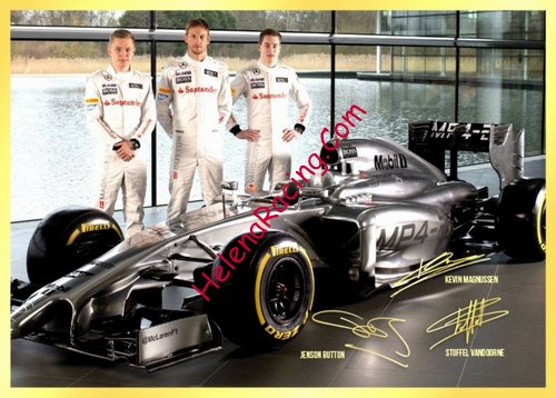 Card 2014 Formula 1-3-Team (P).JPG