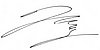 Autograph.jpg