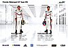 Card 2017 WEC-GTE Verso (NS).jpg