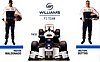 Card 2013 Formula 1-Williams (NS).jpg