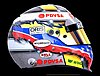 Helmet 2012.jpg