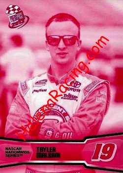 2013 Pass-Pink.JPG