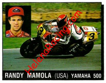 1987 Panini.jpg