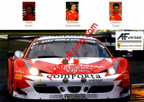 Card 2014 ELMS-GTE (NS).jpg