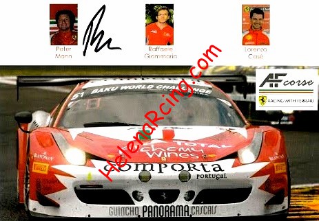 Card 2014 ELMS-GTE (S).jpg