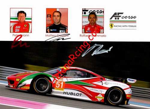 Card 2015 ELMS-GTE (S).jpg