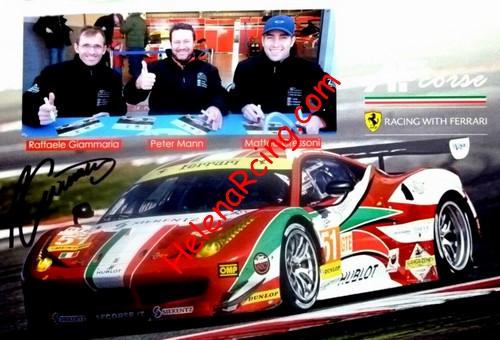 Card 2015 ELMS-GTE-3 (NS).jpg
