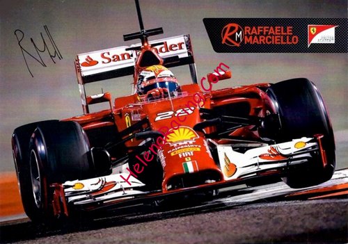 Card 2014 F1-Test (S).JPG