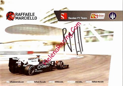 Card 2015 FIA-GP2 Series (S).JPG