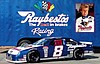 Card 1993 Winston Cup-Raybestos (NS).JPG