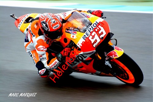Card 2016 Moto GP (NS).jpg