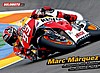 Card 2013 Moto GP (NS).jpg