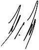 Autograph.jpg