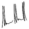 Autograph.JPG