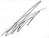Autograph.jpg