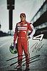 Card 2013 Formula 1-Number (PS)-.jpg
