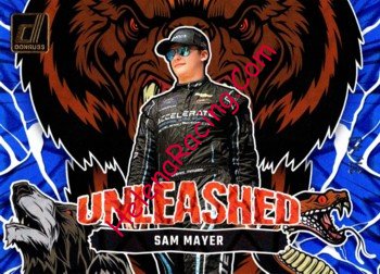 2024 Unleashed-Blue.jpg