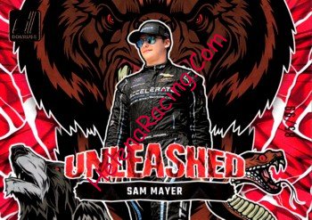 2024 Unleashed-Red.jpg