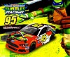 Card 2014 Sprint Cup-Turtles (NS).JPG