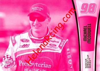 2013 Pass-Pink.JPG