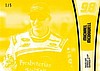 2013 Pass-Yellow.JPG