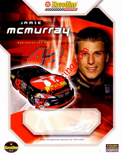 Card 2004 Nextel Cup-Havoline (P).jpg