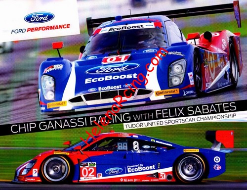 Card 2015 Daytona 24 h (NS).JPG