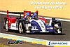 Card 2014 Le Mans 24 h Recto (NS).jpg