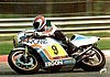 Card 1981 Moto 500cc (NS).jpg