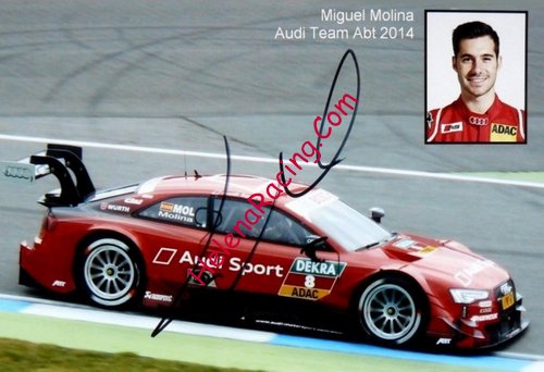 Card 2014 DTM-Audi (S).jpg